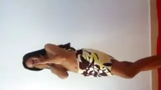 Gatas negras com fil ...