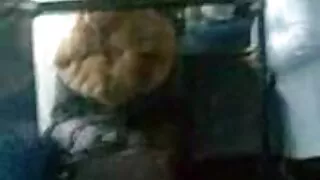 A esportiva castanha ...